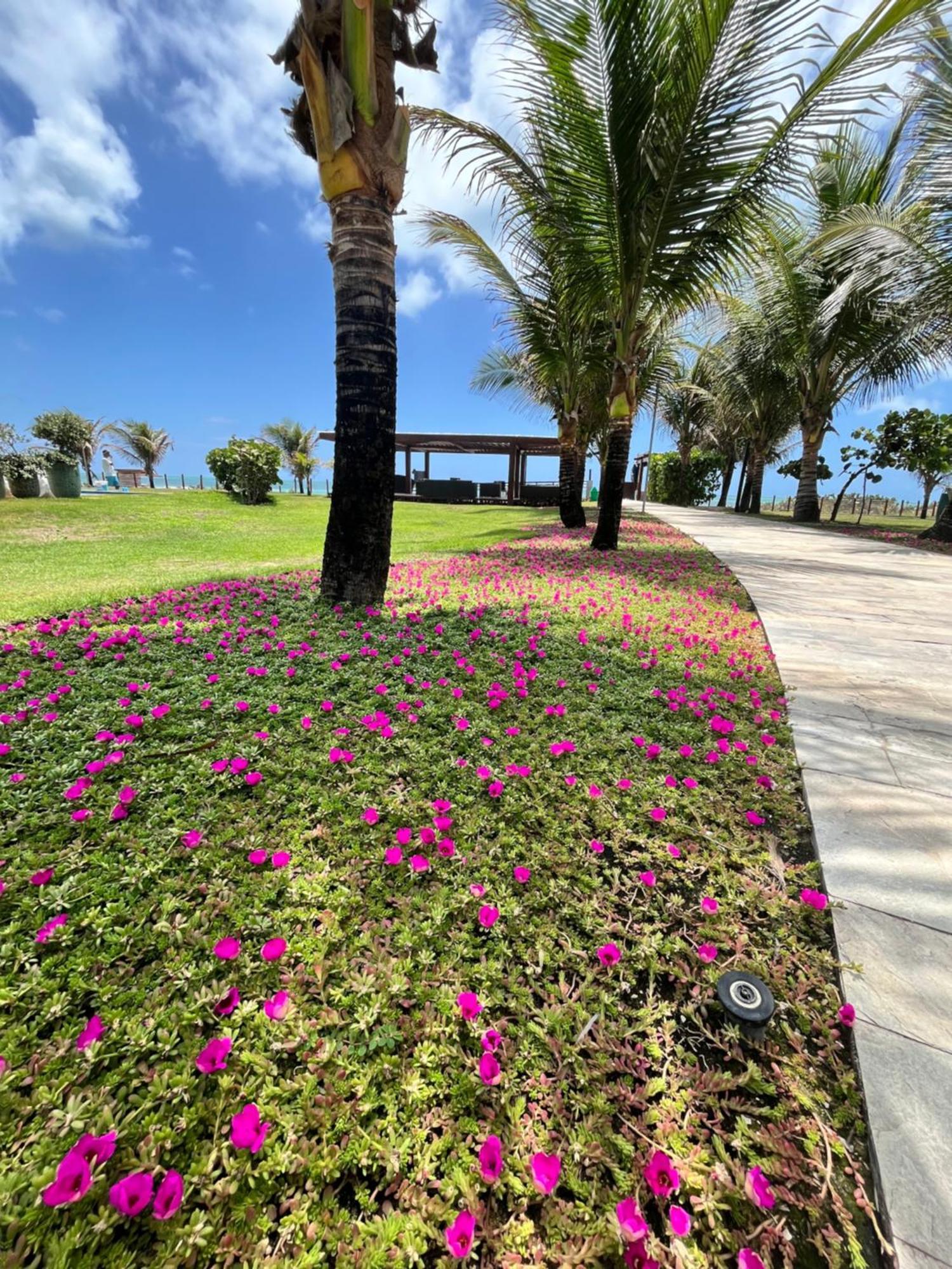 Resort Beira Mar Em Porto De Galinhas - Cupe Beach Living Pôrto das Galinhas Dış mekan fotoğraf